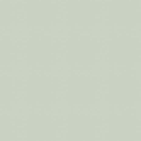 Egger U608 ST9 Pistachio Green | MFC offering a wipe-clean decorative surface on a reliable core