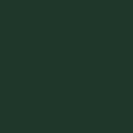 Egger U699 ST9 Fir Green | MFC blending style and practicality